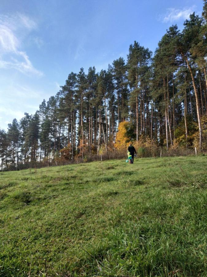 Domki Nad Jeziorem - Zalesie 7D Zalesie (Olsztyn) 外观 照片