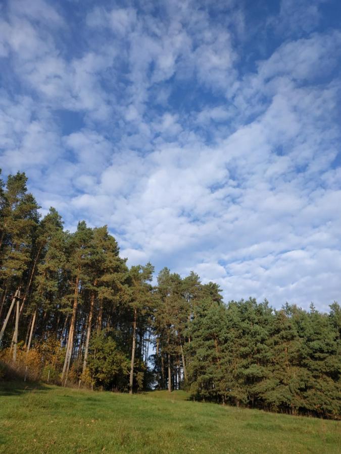 Domki Nad Jeziorem - Zalesie 7D Zalesie (Olsztyn) 外观 照片