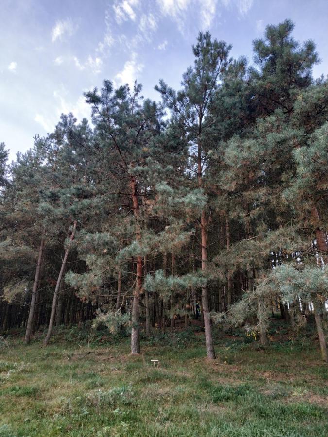 Domki Nad Jeziorem - Zalesie 7D Zalesie (Olsztyn) 外观 照片